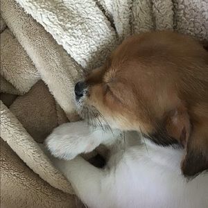 Meet your Posher, Kim